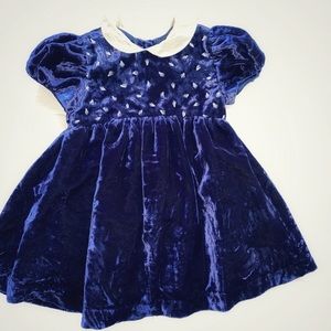 Blue Velvet with Cream color silk collar Dress